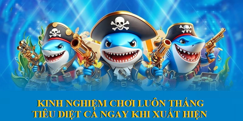 Kinh nghiệm tiêu diệt cá ngay khi xuất hiện tăng tỉ lệ chiến thắng