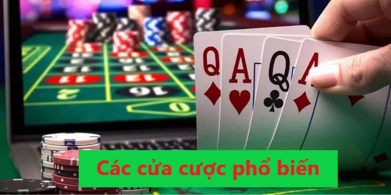 Các loại cược phổ biến trong bacarat 123win