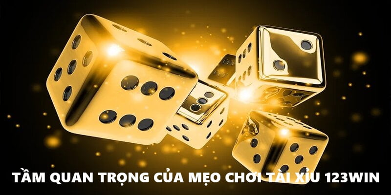 Tầm quan trọng của mẹo chơi tài xỉu 123win