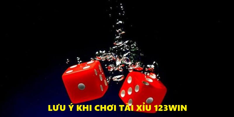 Lưu ý quan trọng khi chơi tài xỉu tại 123win