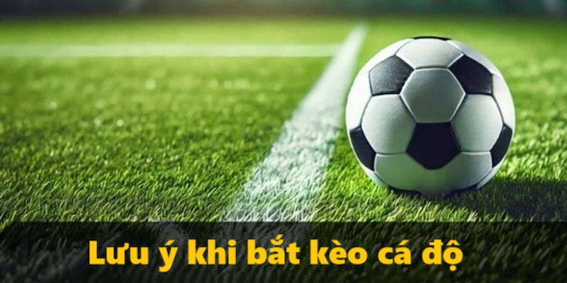Những lưu ý khi bắt kèo cá độ tại 123win