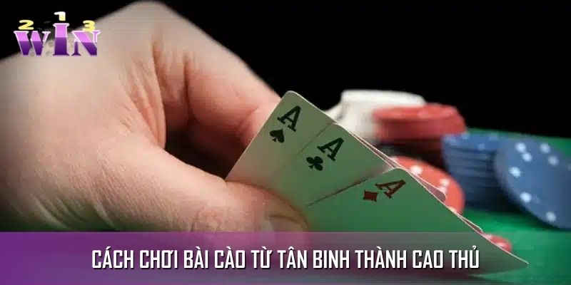 Hướng Dẫn Cách Chơi Bài Cào Để Từ Tân Binh Thành Cao Thủ