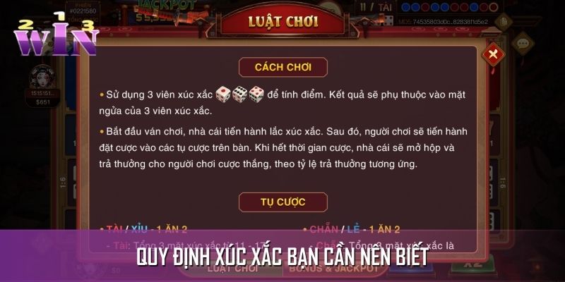 Các quy định xử lý xúc xắc và kết quả Các quy định xử lý xúc xắc và kết quả