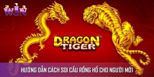 Cách Soi Cầu Rồng Hổ Hiệu Quả Dành Cho Người Mới Áp Dụng