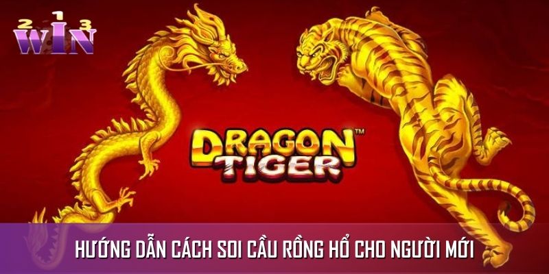 Cách Soi Cầu Rồng Hổ Hiệu Quả Dành Cho Người Mới Áp Dụng