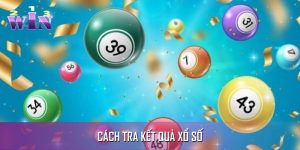 Hướng Dẫn Cách Tra Kết Quả Xổ Số Theo Từng Đài Chơi Lô Đề