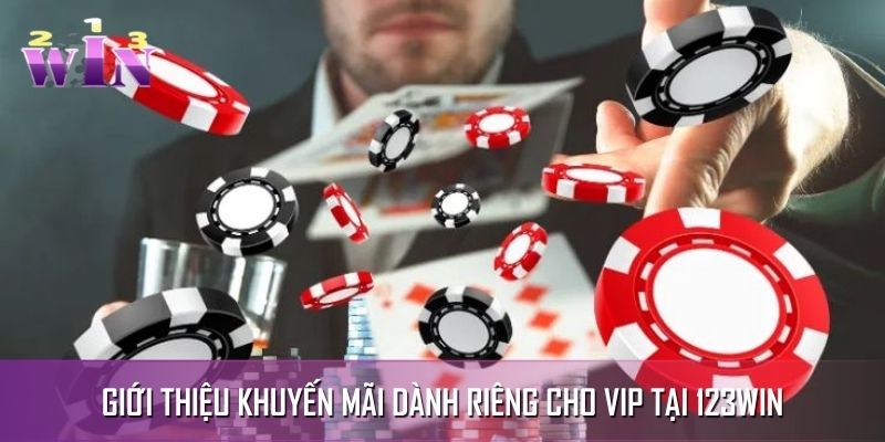 Đặc quyền riêng biệt dành cho VIP Đặc quyền riêng biệt dành cho VIP