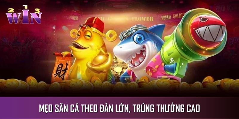 Mẹo săn cá theo đàn lớn, trúng thưởng cao Mẹo săn cá theo đàn lớn, trúng thưởng cao