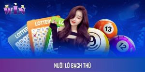 nuôi lô bạch thủ