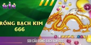 soi cầu rồng bạch kim 666