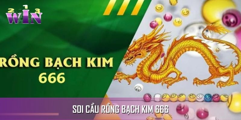 soi cầu rồng bạch kim 666