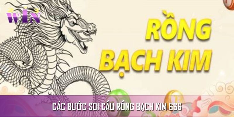 Hướng dẫn từng bước đăng nhập và soi cầu rồng chuẩn Hướng dẫn từng bước đăng nhập và soi cầu rồng chuẩn